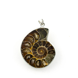 Pendentif Ammonite polie env. 33x25mm,
