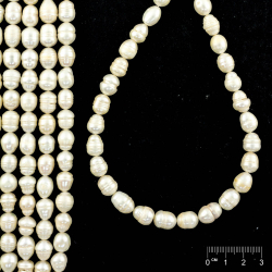 Rang Perles de culture d'eau douce ovale blanches
