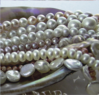 Perles & coquillages